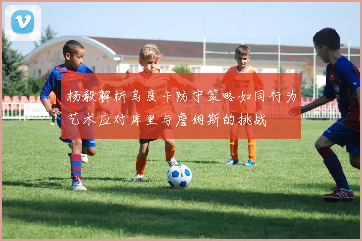 杨毅解析乌度卡防守策略如同行为艺术应对库里与詹姆斯的挑战