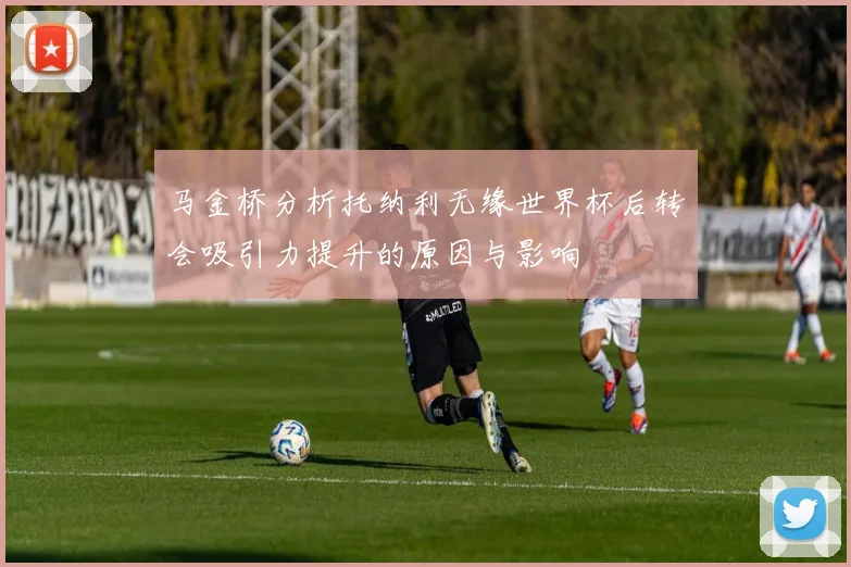 马金桥分析托纳利无缘世界杯后转会吸引力提升的原因与影响