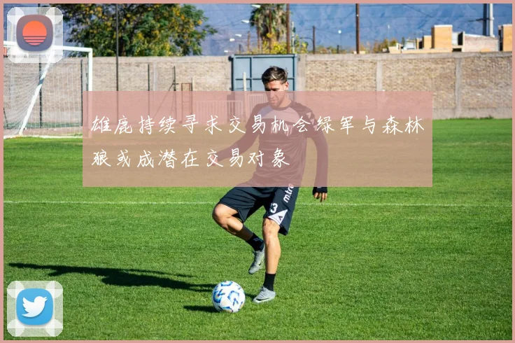 雄鹿持续寻求交易机会绿军与森林狼或成潜在交易对象